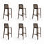 Chaise d'appoint en noyer massif (ensemble de 6)-1681149810-1681149823