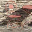 Ensemble bistro rond en métal vert antique "Le Chardenoux 1908"-683992690