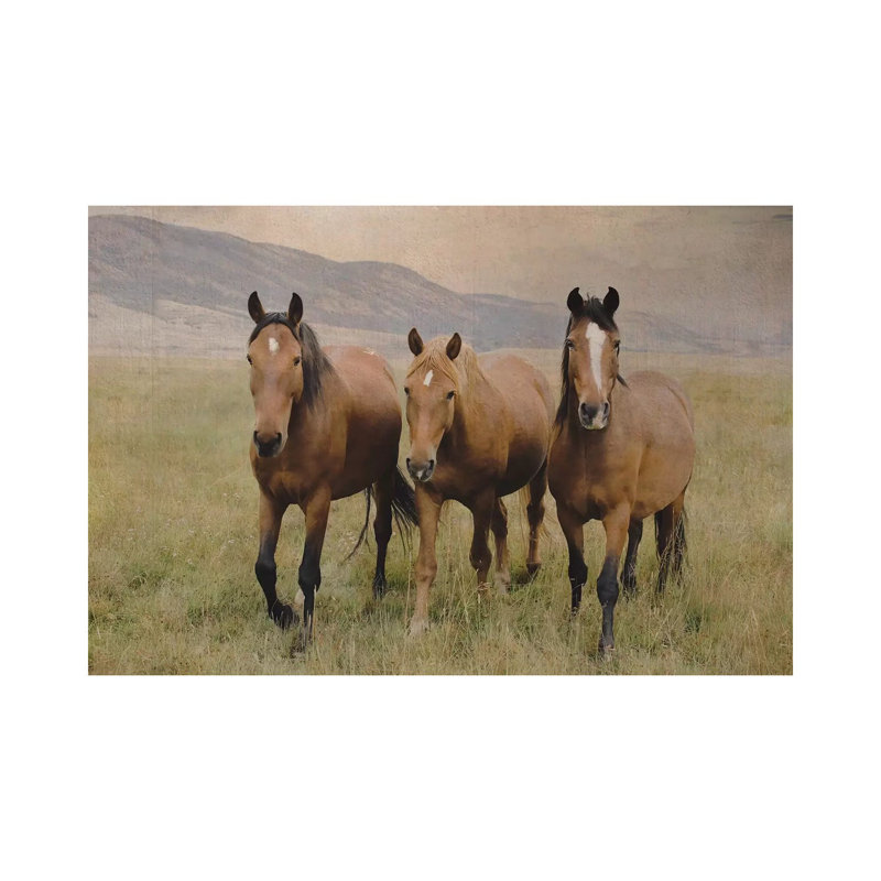«Three convivial Mustangs» par - Toile tendue, H 18 po x l 26 po x P 1,5 po