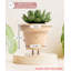Cute Pots Pot Planter