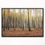 «Beautiful Birch Forest Photographie», reproduction de photo sur toile tendue encadrée-63987277-63987279