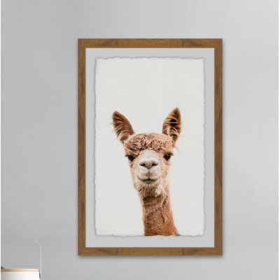 Llama Face II - Single Picture Frame Print