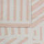 Sally Striped Area Rug in Pink/Ivory-50686304