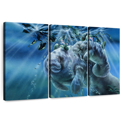 Brampt Manatees Sunshine