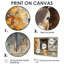 Donkey S Path Tot Hye Barn I - Donkey Large, art mural-678009167-678009162-678009201