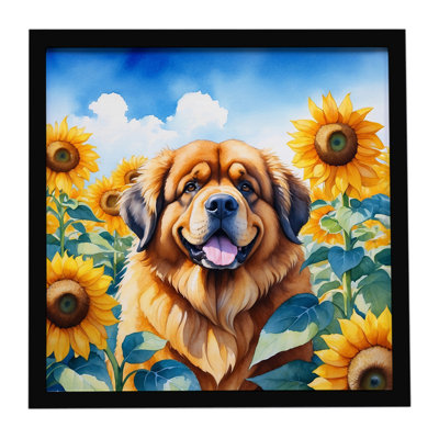 Tibetan Mastiff in Sunflowers Framed Metal Print