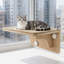 Perchoir pour chat à ventouses, plateforme de saut et griffoir mural pour chat, capacité de 15 kg