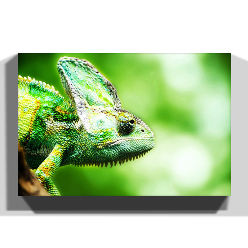 Wrapped Canvas Print, 40cm H x 60cm W