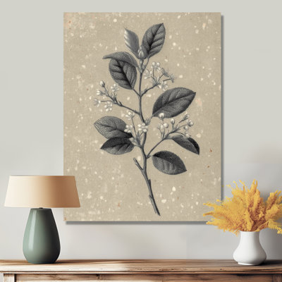 Gris, minimalisme, solitude, plante, impressions sur toile, art mural botanique gris