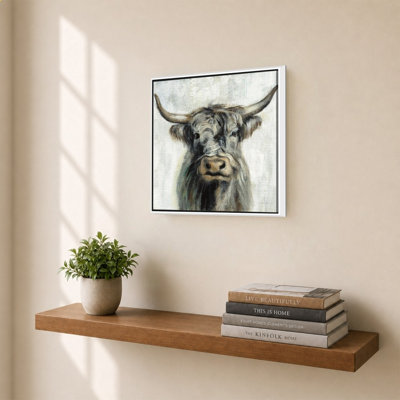 Vache Highland