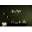 Lustre 6 lumières 30,25 po-1751927716