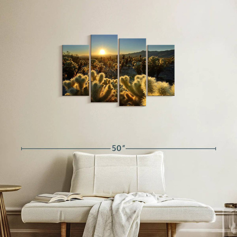 Jardin Harnek Cholla Cactus, H 22 po x l 36 po