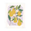  Laura Marshall Marche Aux Fruits III, art mural sur toile V2-101098612