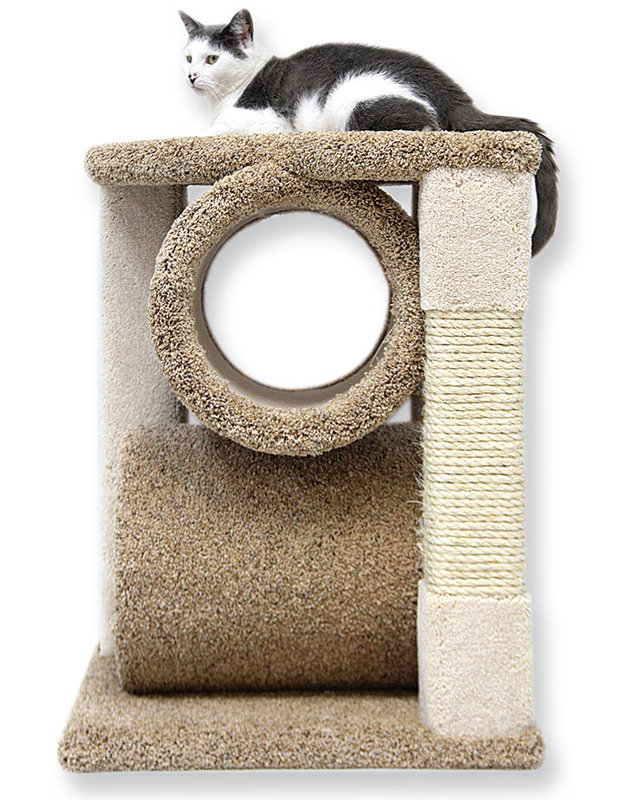 Habitation pour chat 27 po Moreno 2 N 1 Stacker