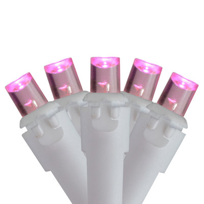 Goldena 105'' LED String Lights