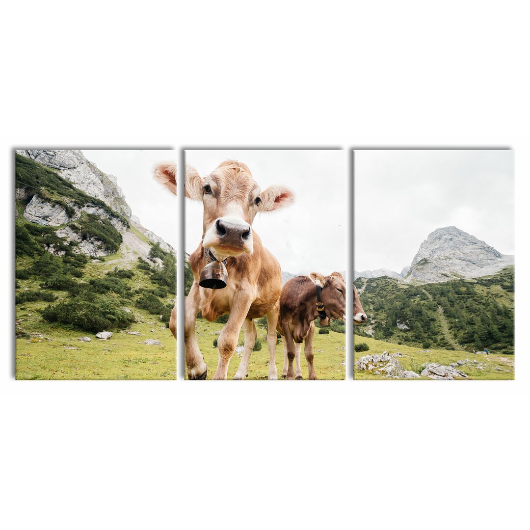 3-tlg. Leinwandbilder-Set Alpine Cow in Pasture