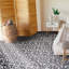 Casa 8" x 8" Cement Patterned Wall & Floor Tile-56212150