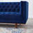 Elation Tufted Performance Velvet Sofa-1268941866