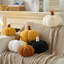 Coussin de citrouille, coussins décoratifs d'automne pour canapé, coussins de lit en peluche pour lit-130140721