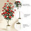 Plant-359297354