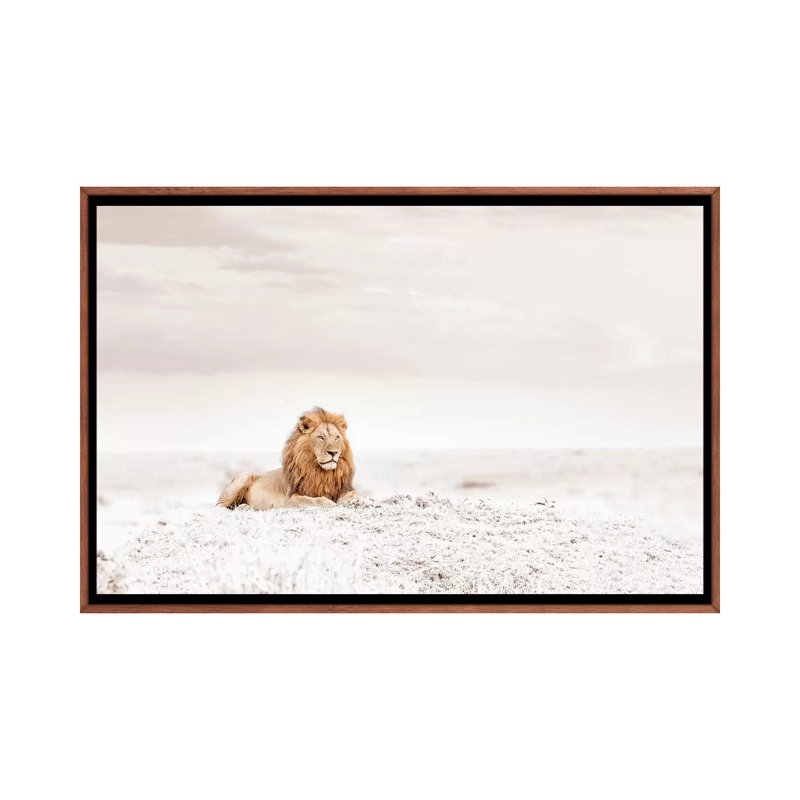 White Lion by Klaus Tiedge - Print on Canvas, Classic Brown Wood Framed, 101.6 cm H x 66.04 cm W