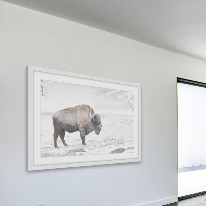Parvez Taj - Single Picture Frame Print, 41cm H x 61cm W x 3.81cm D
