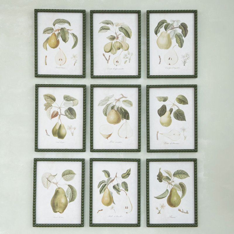 Collection d'imprimés poire Orchard