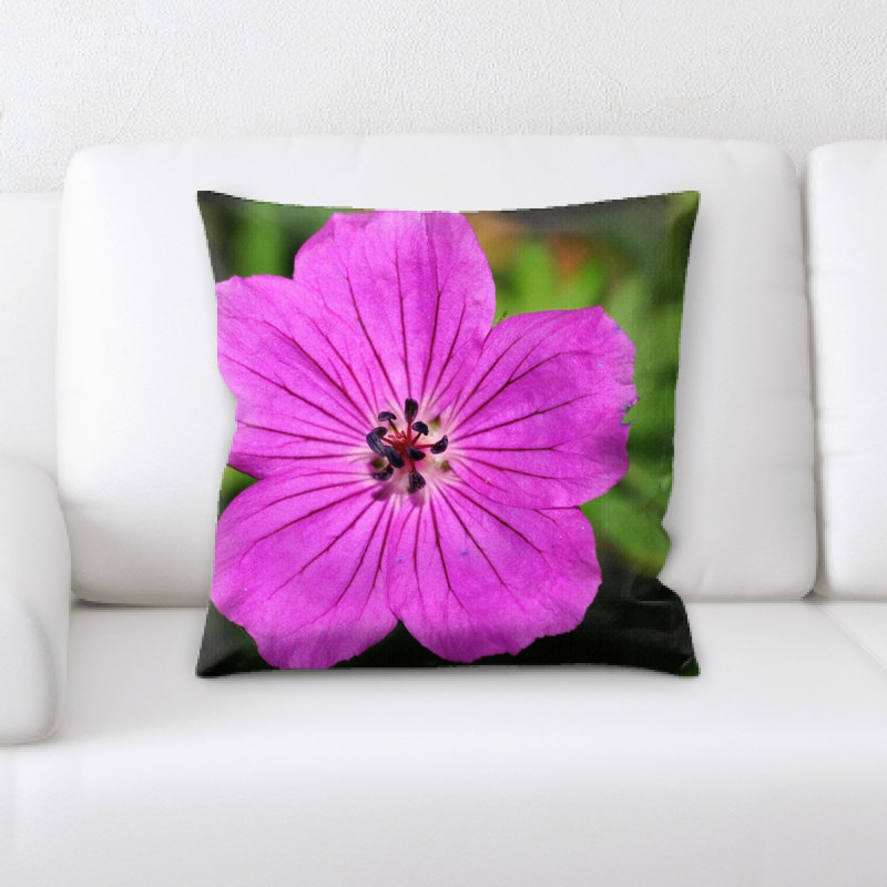 Coussin cranesbill