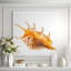 Spider Conch Shell Print-181163342-184591455