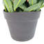 80cm Faux Ficus Plant in Pot Liner