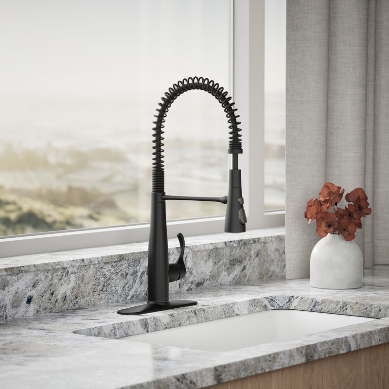 Kohler Simplice Single Handle Semi-Professional Pre-Rinse Kitchen Sink Faucet with Three-Function Pull Down Sprayer