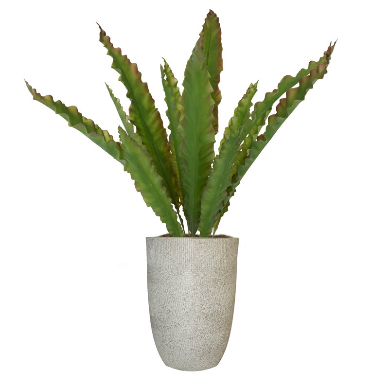Agava artificiel Panama Panama, Pot à fleurs 16 po