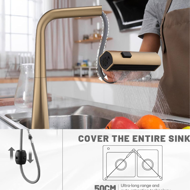 Robinet d'évier à poignée simple avec jet de pluie et robinet de cuisine à eau froide