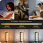 Metal Novelty Lamp