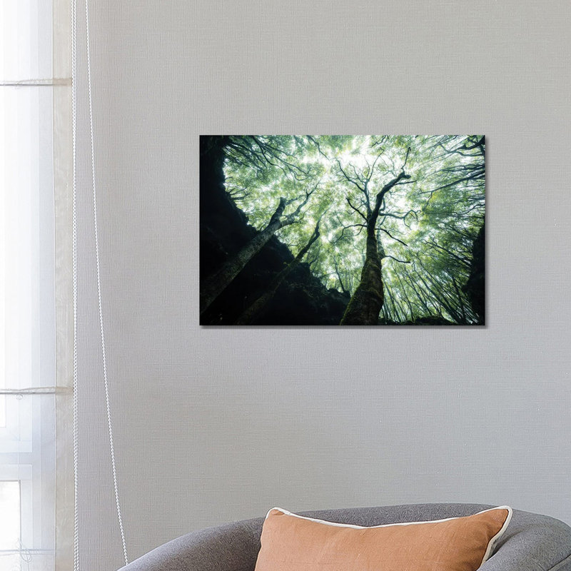 Growing towards the Light 1 Piece Wrapped Canvas Wall Art, 66.04 cm H x 45.72 cm W x 1.91 cm D