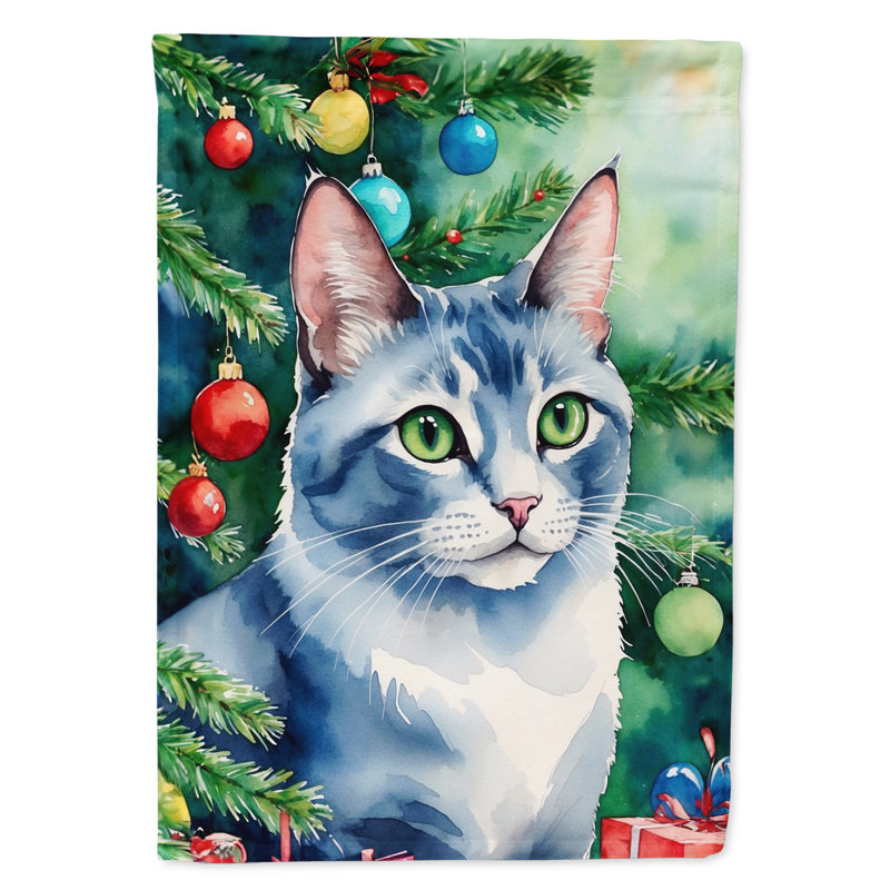 Drapeau de jardin Pixie Bob, Ojos Azules