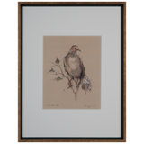 Dove Rest VII Print by Daughdrill