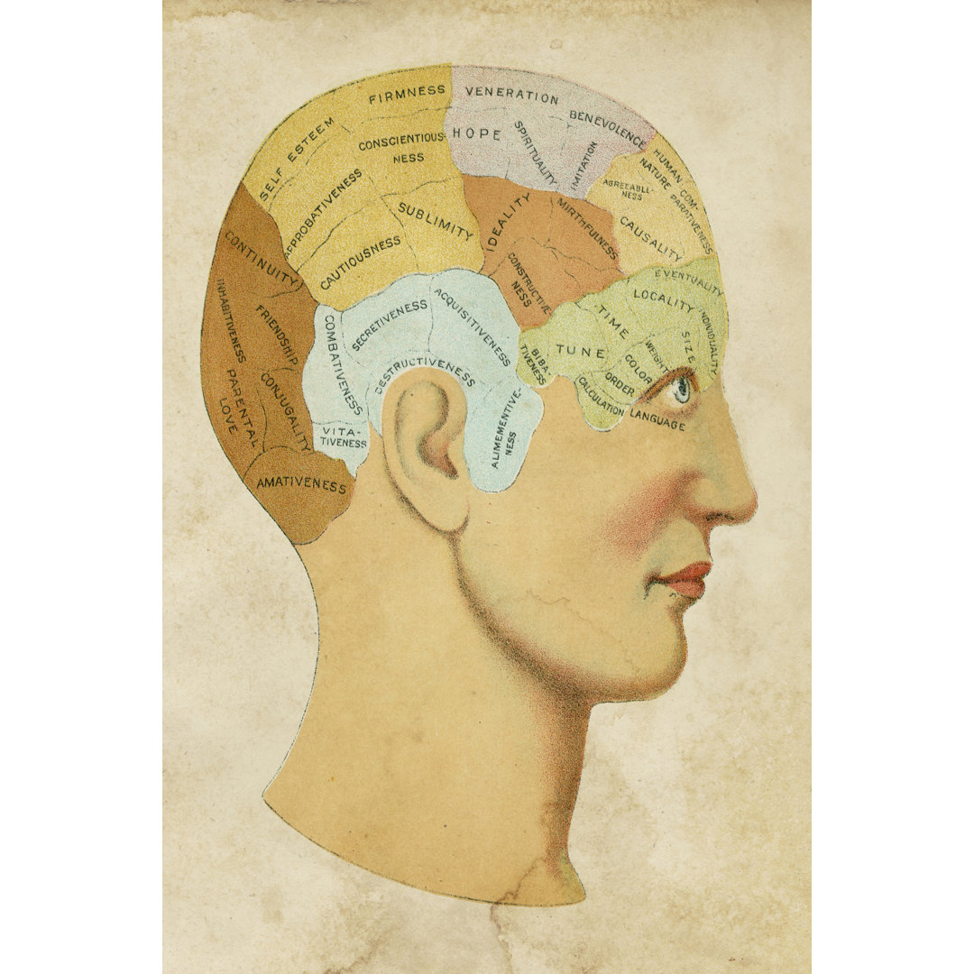 Leinwandbild Vintage Phrenology von Vision Studio