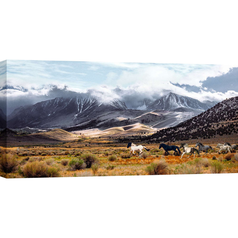 Wild Horses, Mono Lake Natural Reserve, California by Pangea - Wrapped Canvas Print, 60cm H x 120cm W x 4cm D