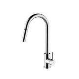 Trova Pull Down Single Handle Kitchen Faucet with Accessories