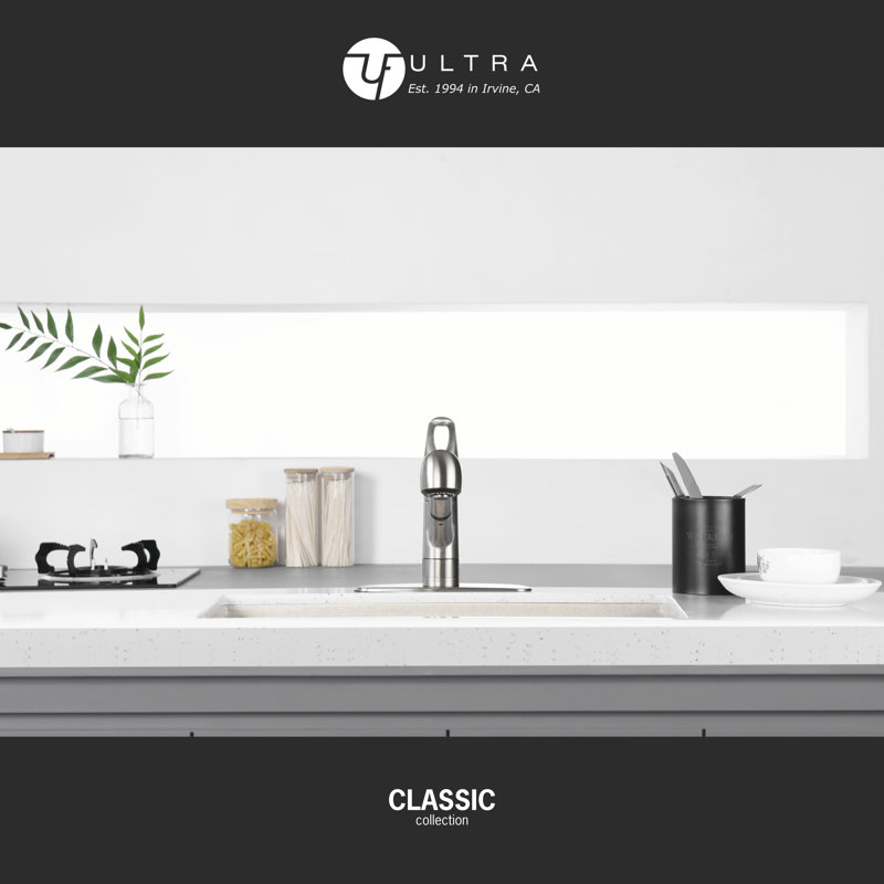 Nita Vantage Collection Single Handle Kitchen Faucet with Pull-out Spray, Brushed Nickel