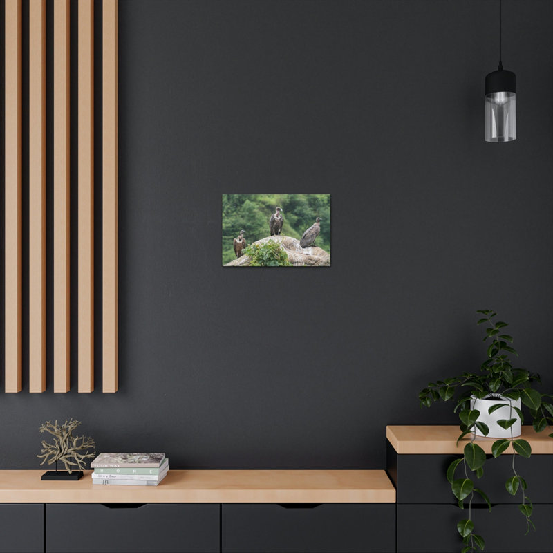 Vautour groupe de vautours impression d'art mural, H 12 po x l 18 po