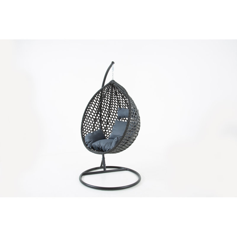 Pagnano Swing Chair with Stand