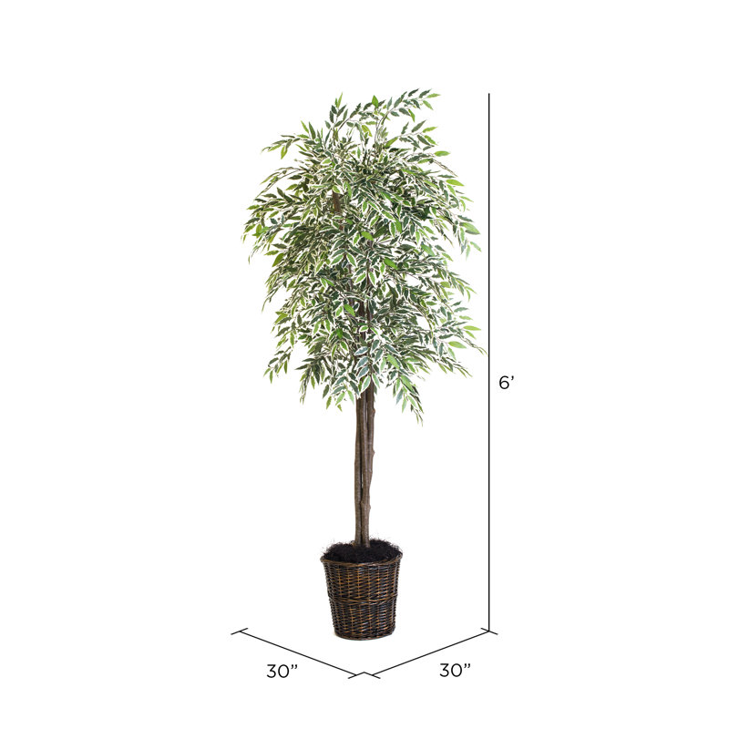 Érable artificiel 72 po en pot, H 72 po x l 30 po x P 30 po