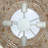 Clamshell 4 - Light Dimmable Novelty Chandelier-94569105