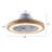 Riemy 20'' Ceiling Fan with LED Lights