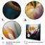 «Yellow Graceful Tulip II» sur toile-88544487-88544483
