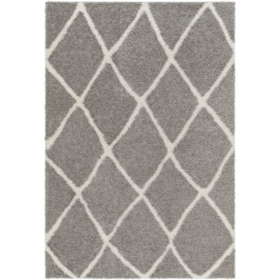 Bassiru Indoor Rug