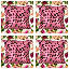 Krueger Indoor / Outdoor Floral Red Square Throw Cushion Cover Pack Of 4