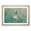 Seagull - Picture Frame Painting Print-56705404-56705405